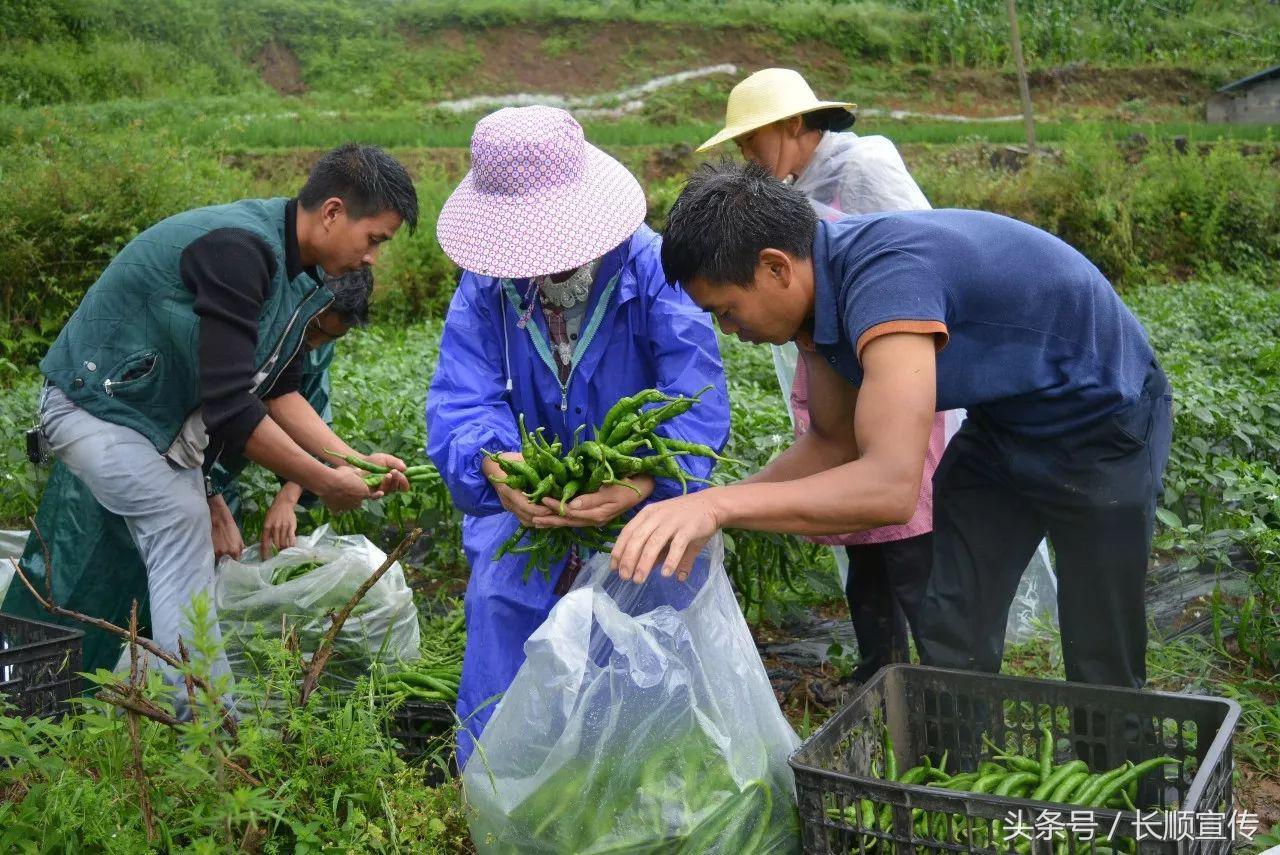 长顺县自然资源和规划局招聘新公告解析