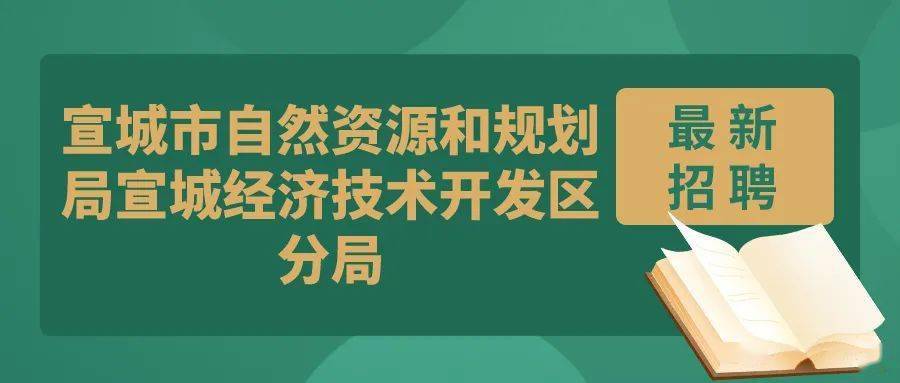 南安市自然资源和规划局最新招聘公告详解