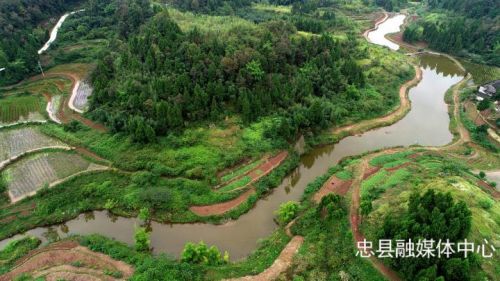 马灌镇最新项目——地区发展的强大引擎领航者