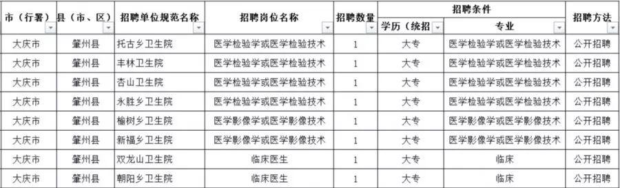 肇州县医疗保障局最新招聘信息全面解析