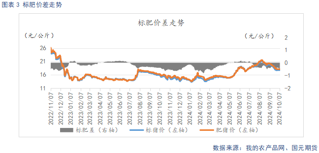 王中王72396网站,可靠执行计划策略_Executive33.484