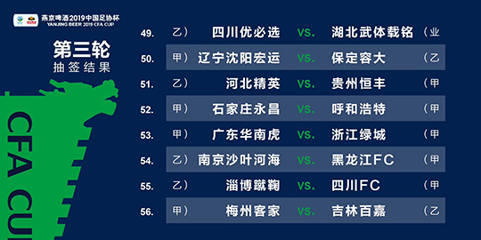 澳门三肖三码三期凤凰网诸葛亮,全面执行计划数据_Elite10.98