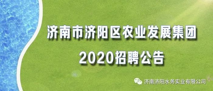 钢城区农业农村局招聘公告详解