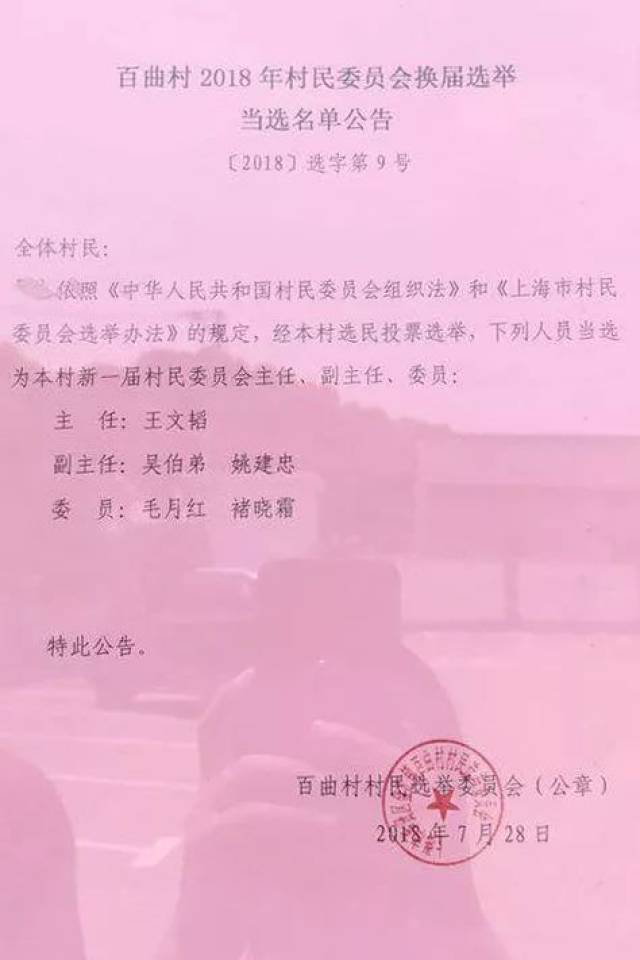 汪家湾村委会人事任命重塑乡村治理格局，展望未来发展蓝图