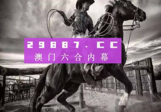 澳门正版精准免费大全,效率资料解释落实_体验版59.891