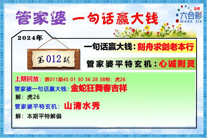 管家婆一票一码100正确王中王,调整细节执行方案_set38.382