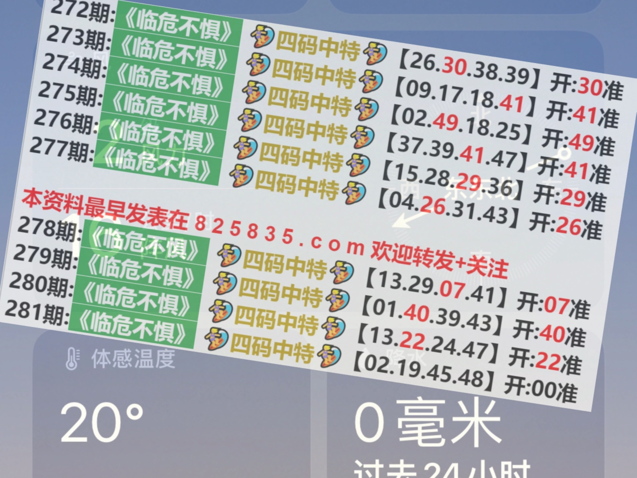 2024澳门六今晚开奖记录113期,动态调整策略执行_NE版59.941