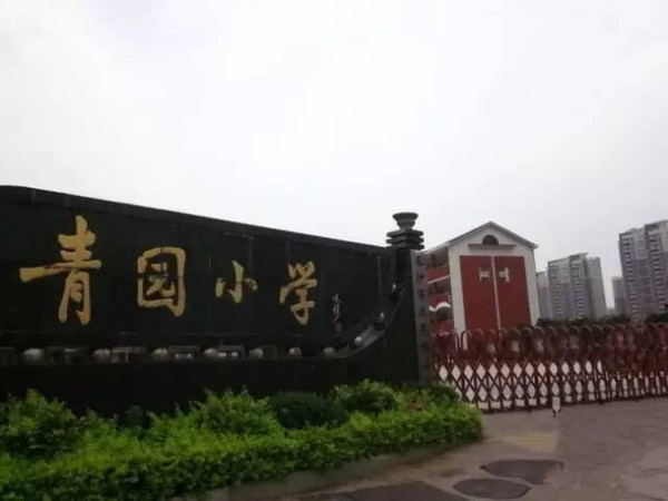 天心区小学新项目，探索教育新境界