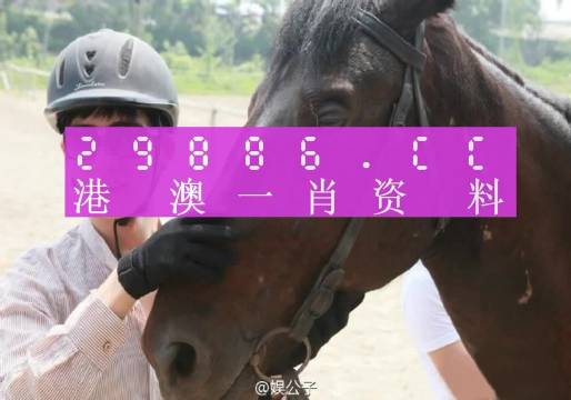 澳门今晚必中一肖一码准确9995,经典解释落实_游戏版6.336