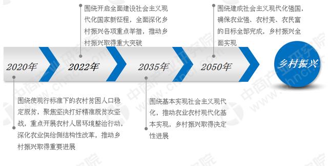 新澳好彩免费资料查询最新,全面实施数据策略_VR45.586